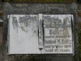 image of grave number 916936